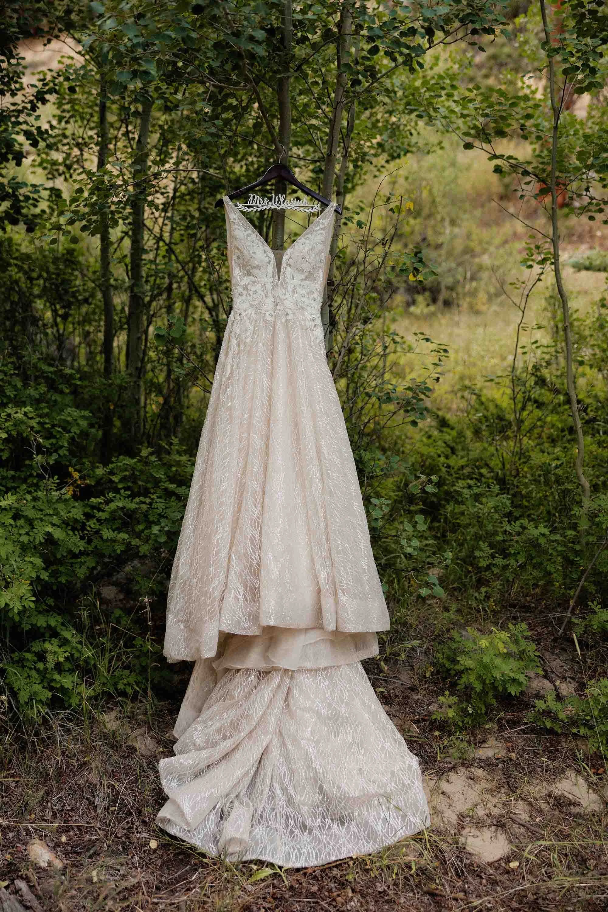 A wedding dress hanging on a tree branch outdoors with green foliage in the background.