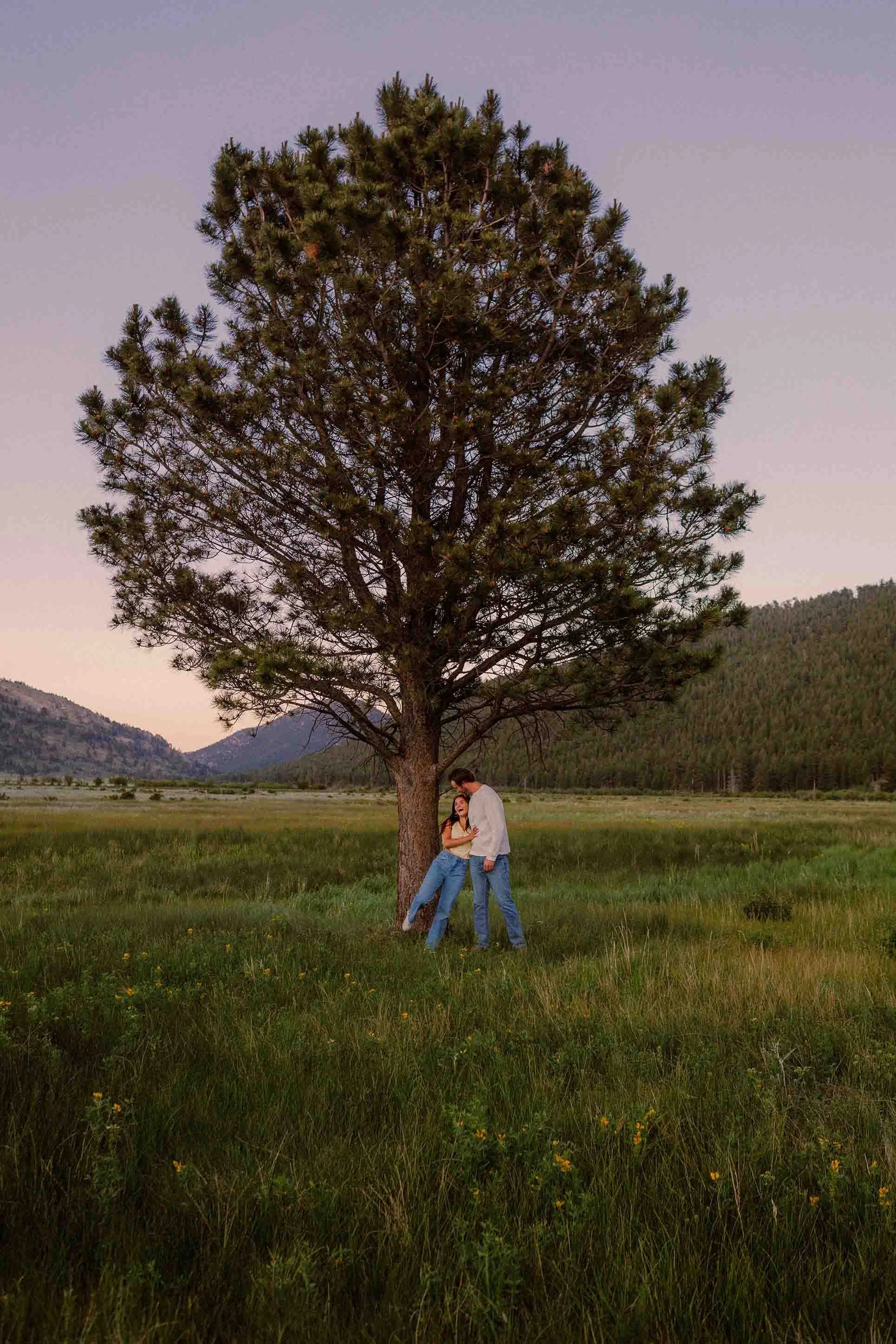 A couple standing under a large tree in a grassy field with mountains in the background during sunset or dusk.