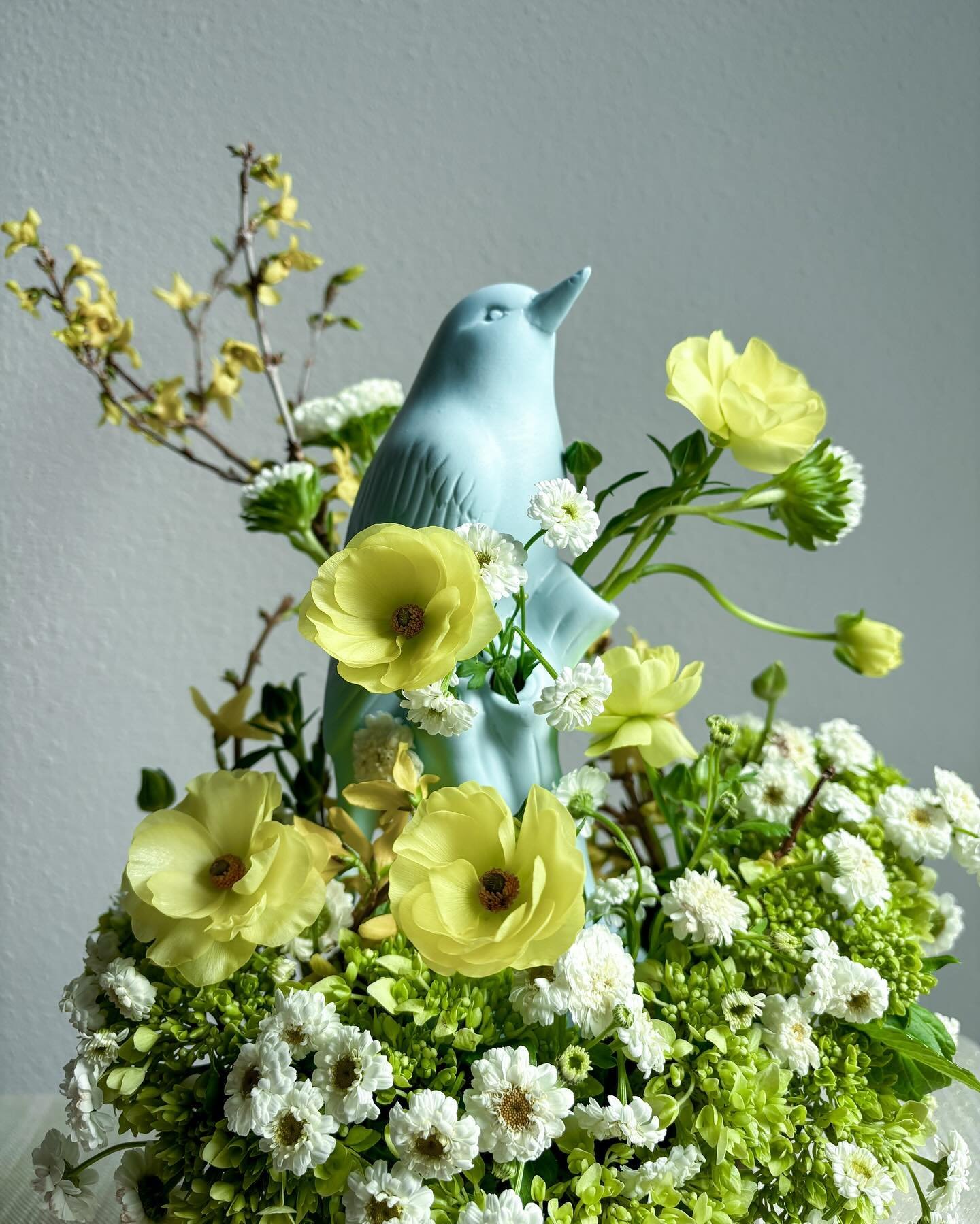 &ldquo;Spring is less than a week away&rdquo;, says the little birdie 🐦🌼

#seattleflorist #flowers #spring #hellospring