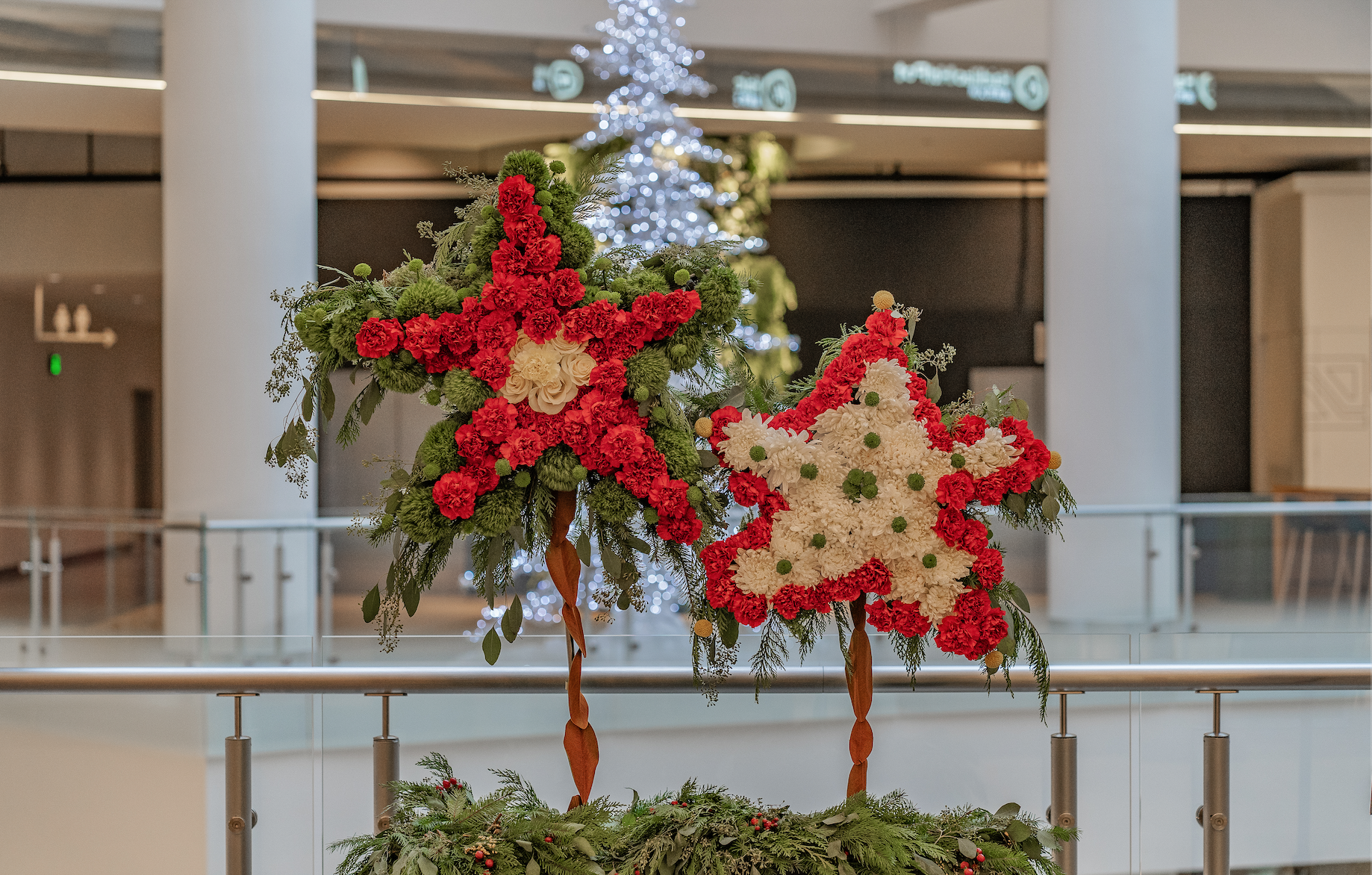 Screen Shot 2023-12-24 at 9.53.21 AM.png