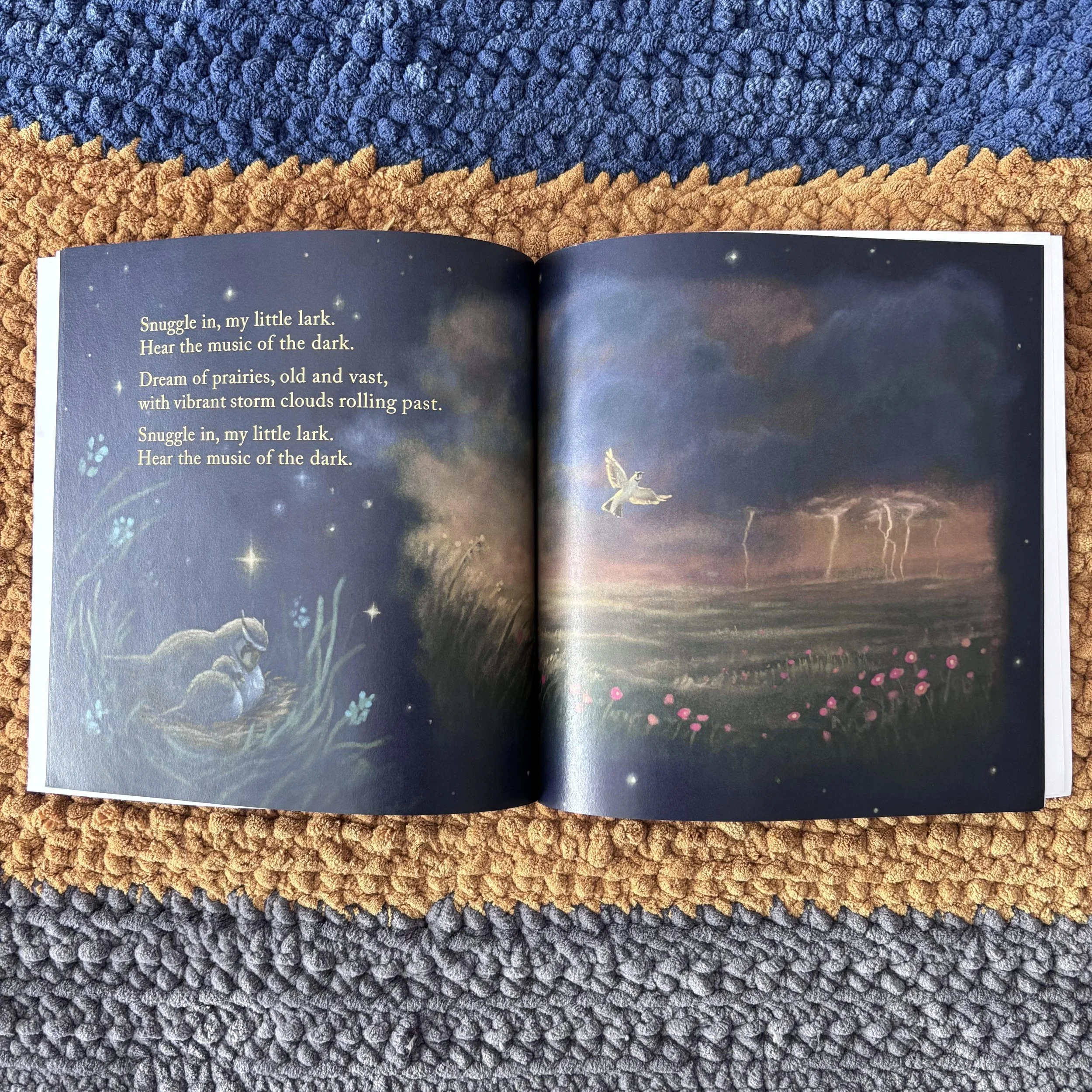 paperback 2.jpg