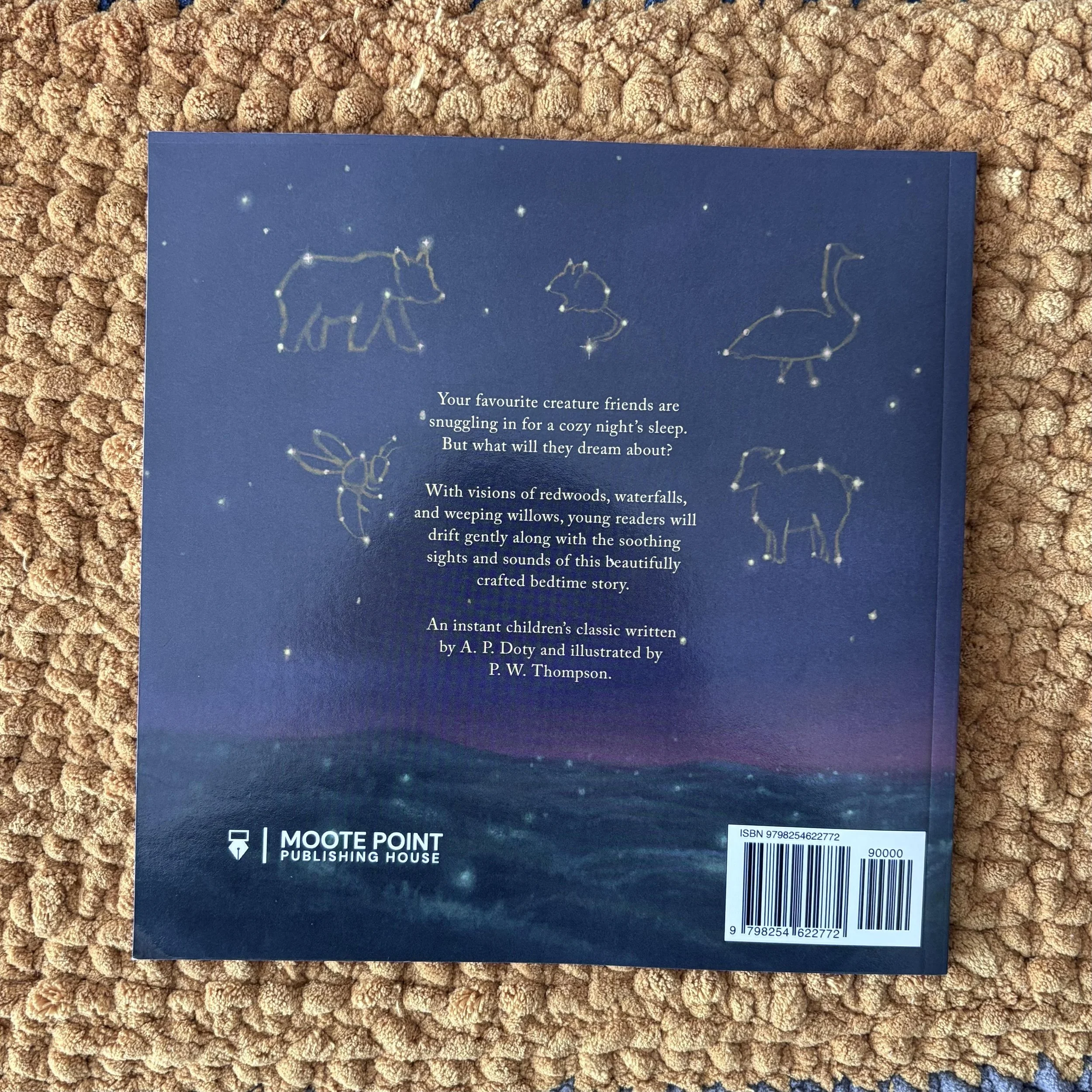paperback 3.jpg