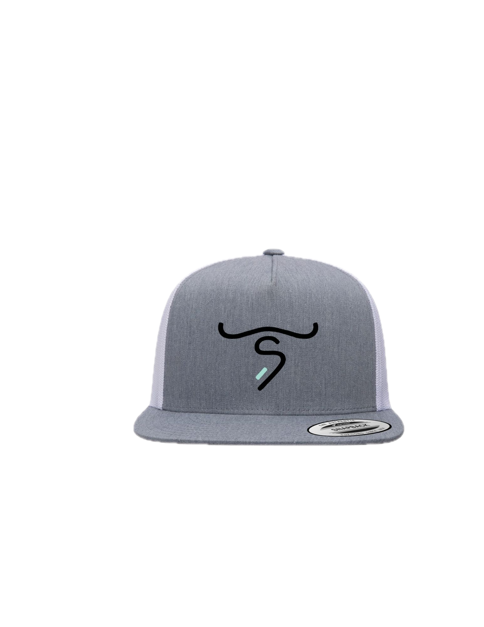 TS Brand Gray Hat