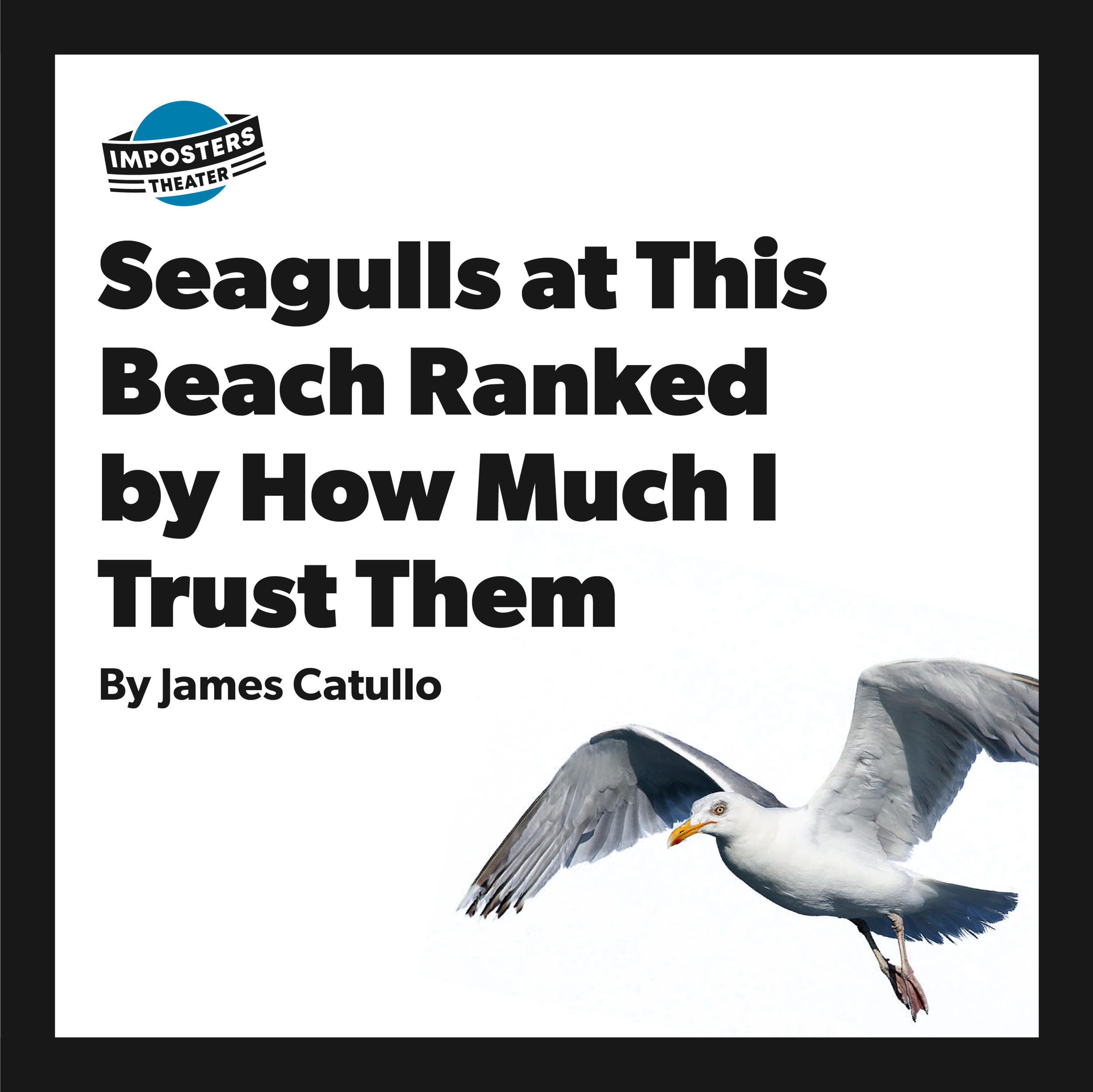 Seagulls at This Beach Ranked by How Much I Trust Them