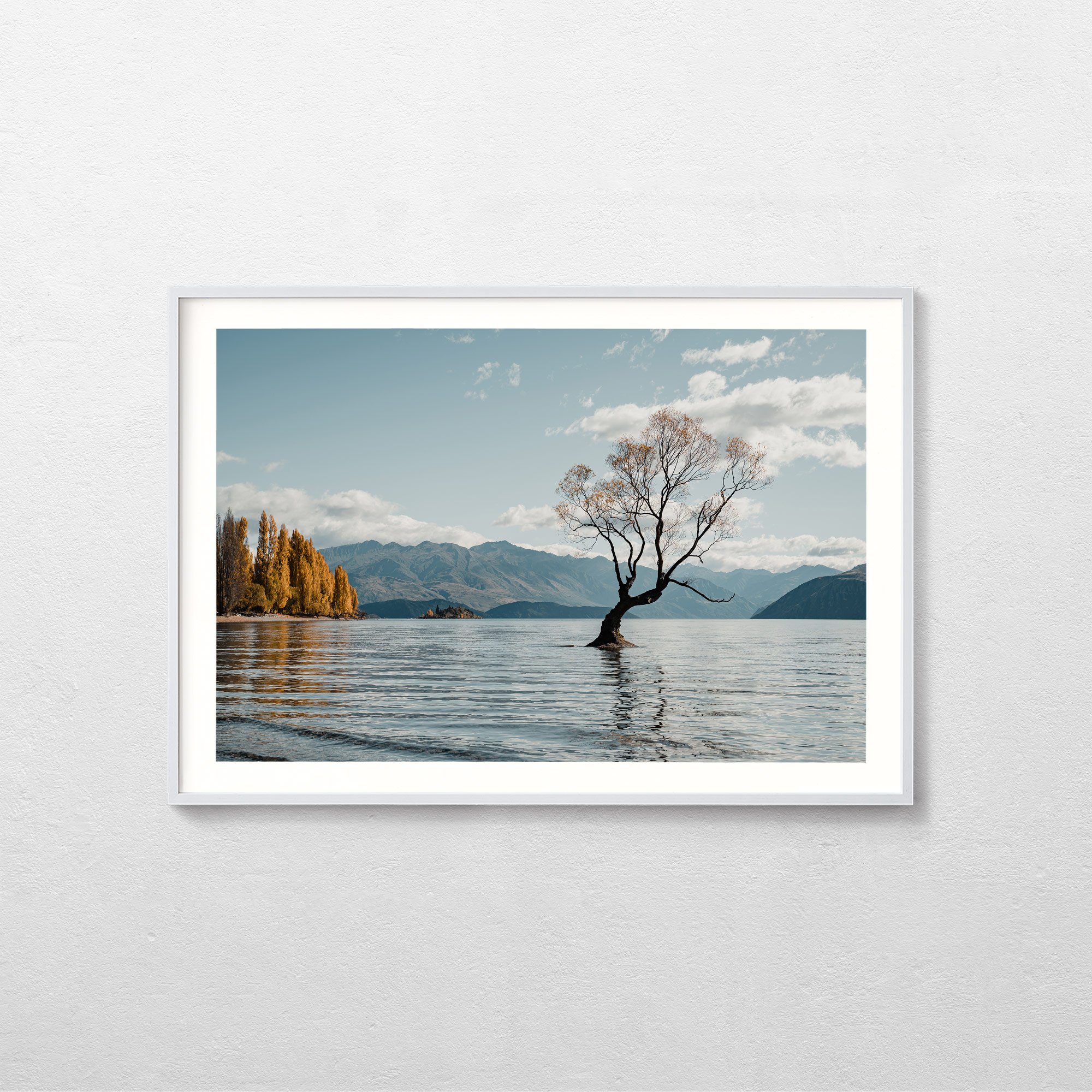 WanakaTree-White.jpg