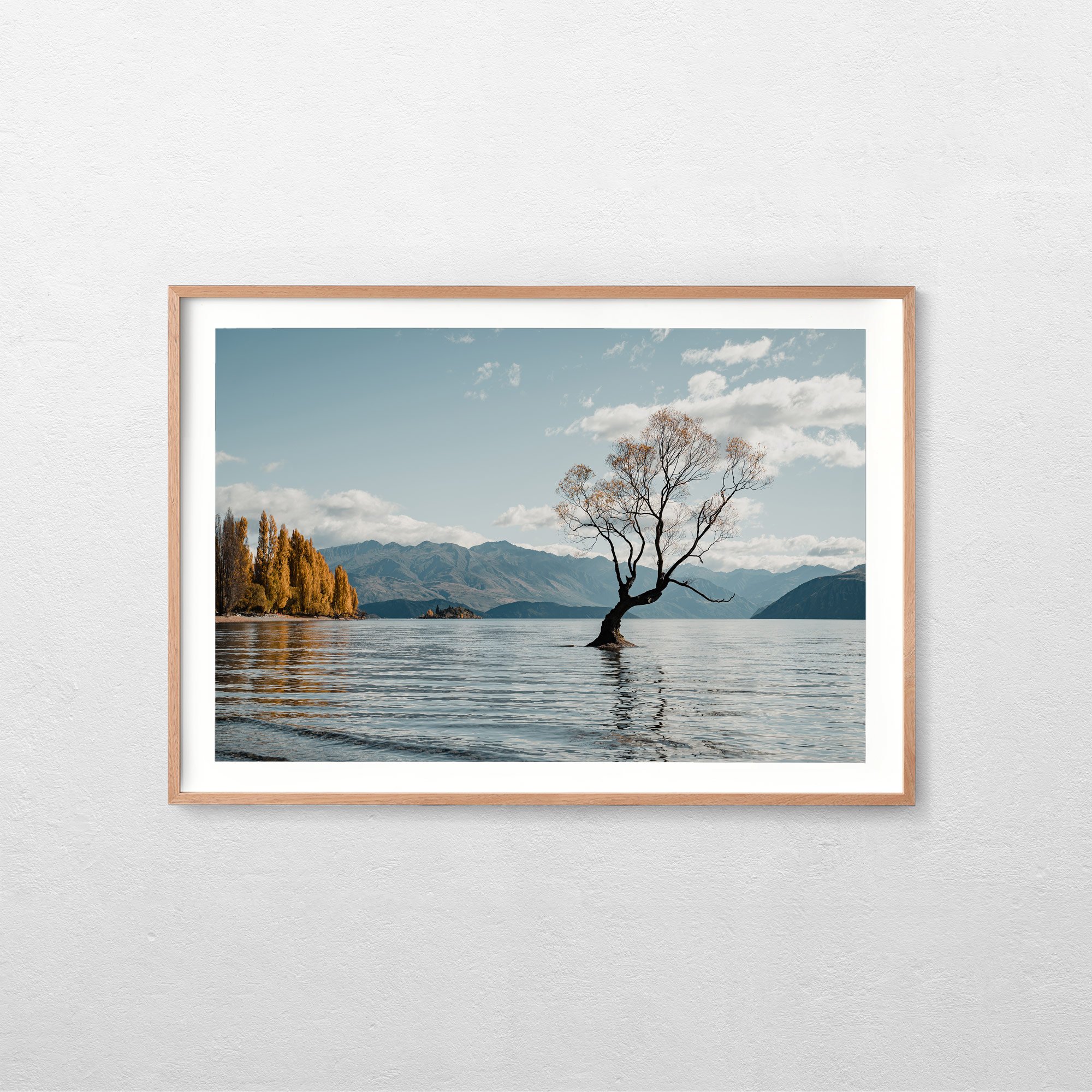 WanakaTree-Natural.jpg