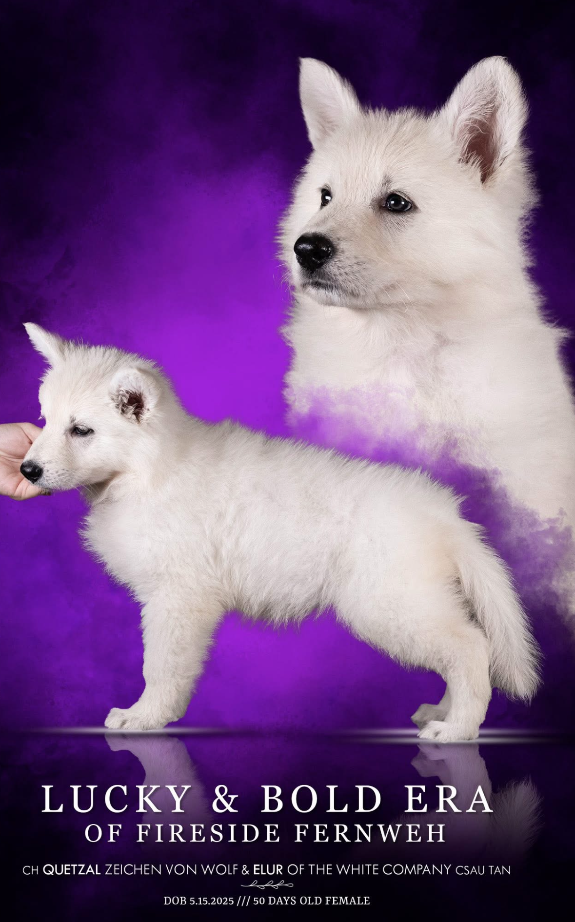 20CFAF60-B106-4555-AE3B-EC723A4C4769.png