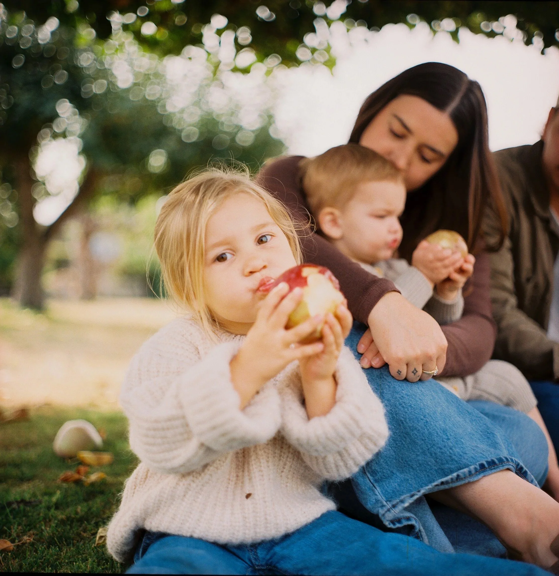 A woman and two children sit on grass, each holding an apple and eating outdoors under trees.
