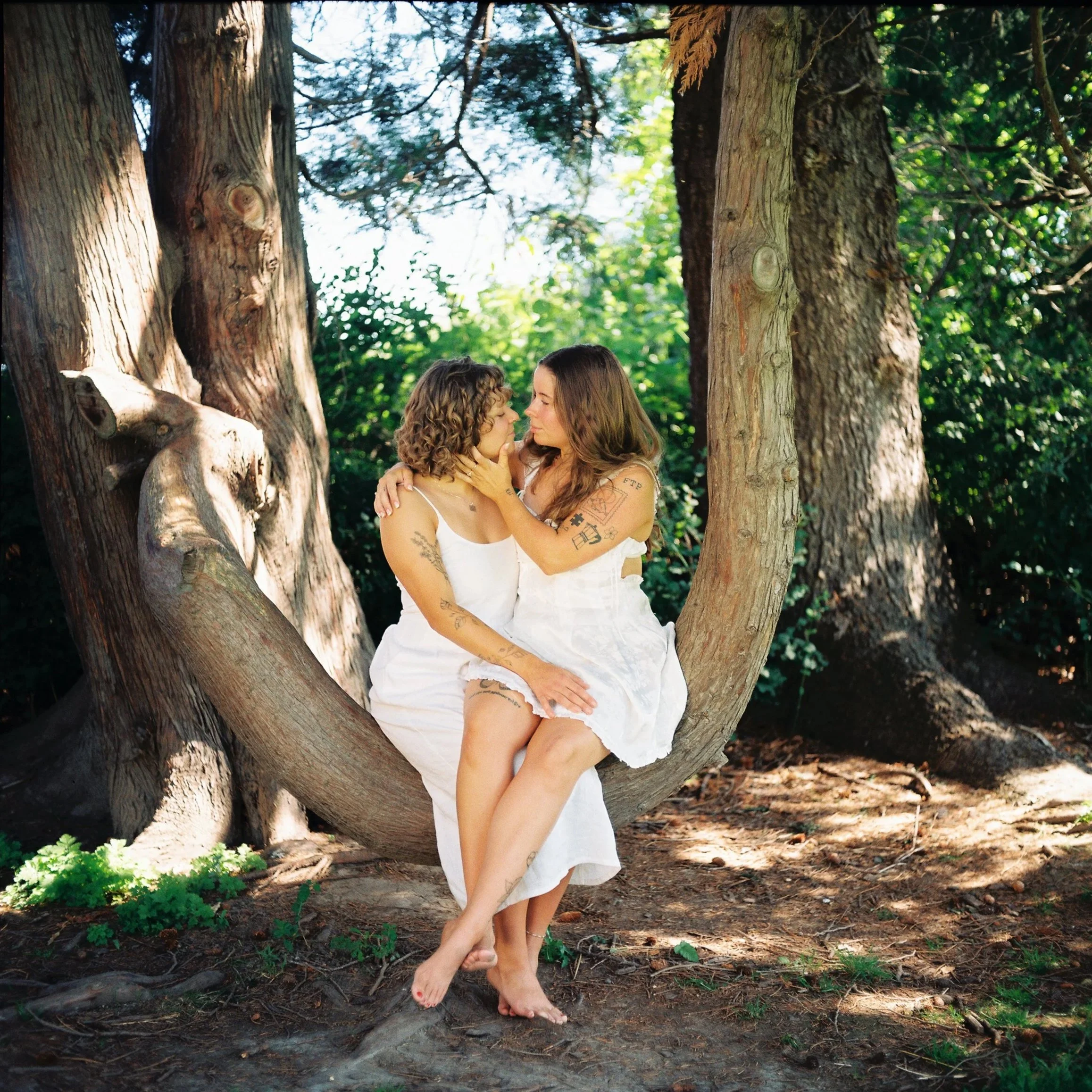 Two women in white dresses sitting on a large tree branch, touching faces and gazing at each other in a wooded area.