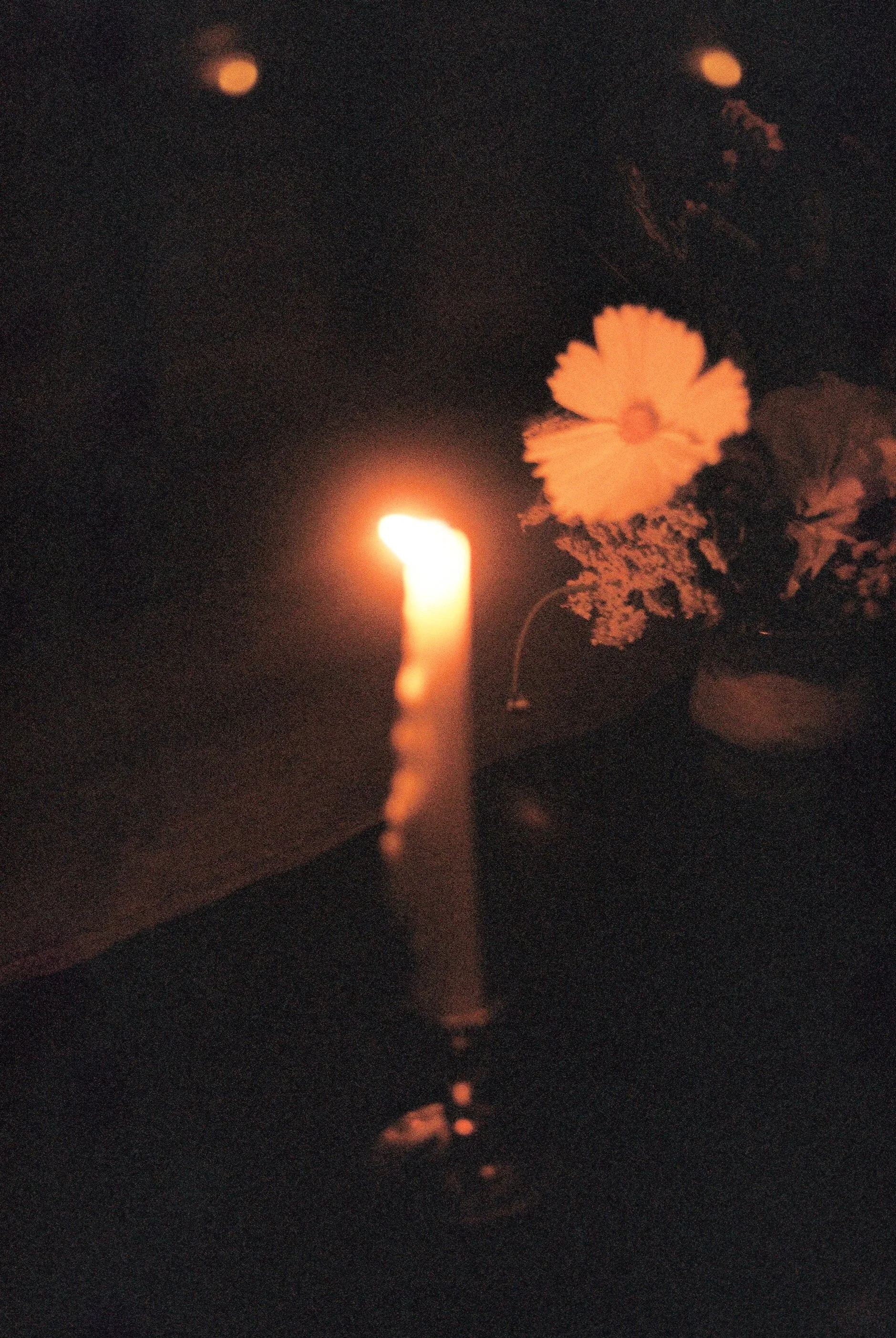 A lit candle and a vase with pink flowers in dim lighting.