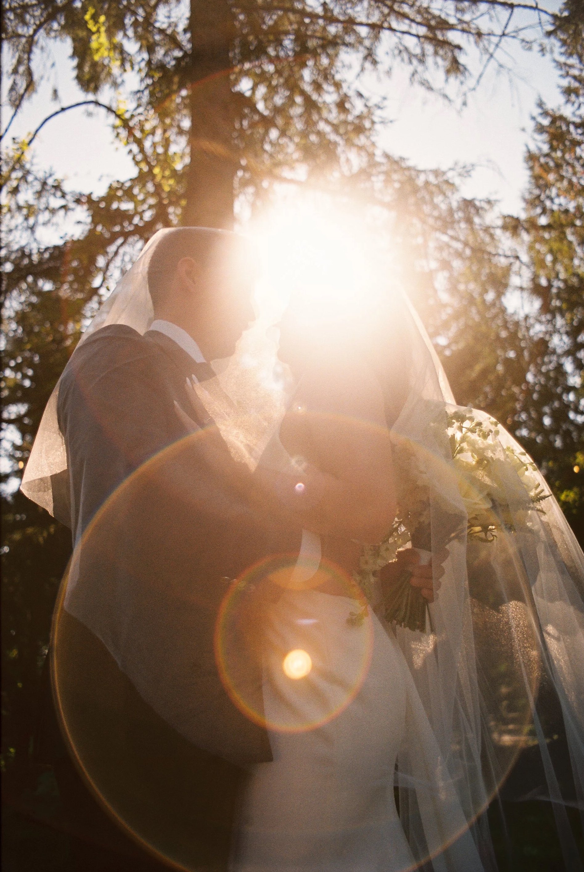 A bride and groom sharing a moment outdoors with sunlight shining through a veil, surrounded by trees.
