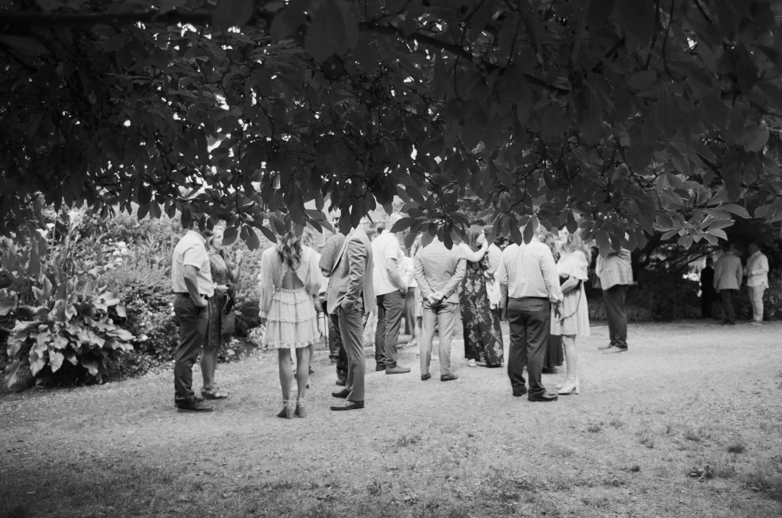 Group of people standing and talking outdoors beneath trees in black and white.