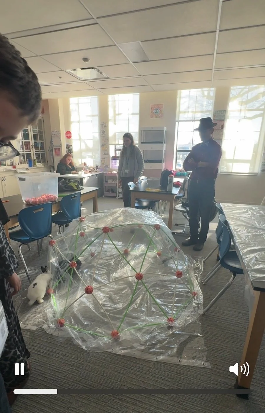 Male and female rabbits stay seperated