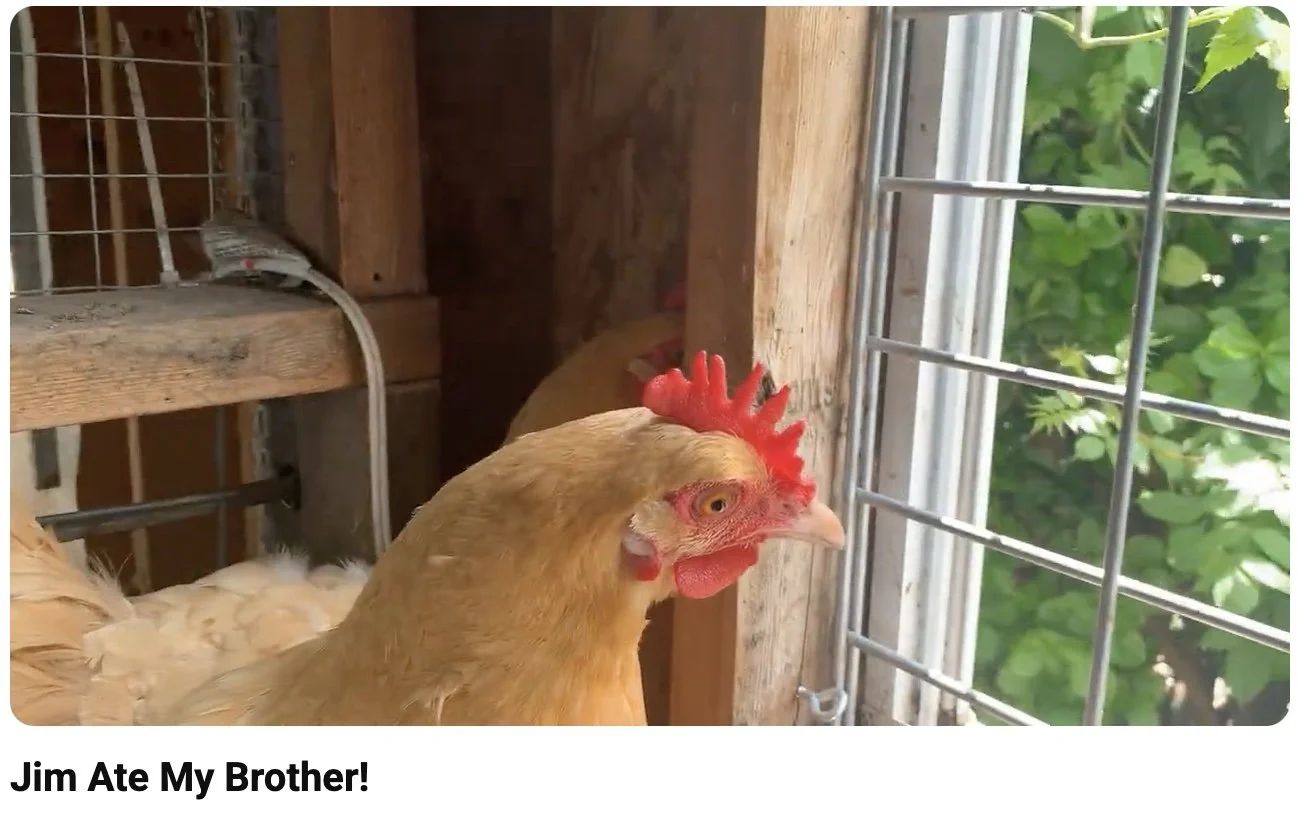 Jim-ate-my-brother.jpg