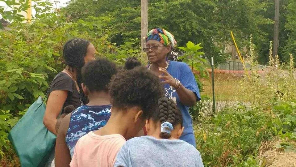 Bronzeville Agricademy and Making Gardening Accessible