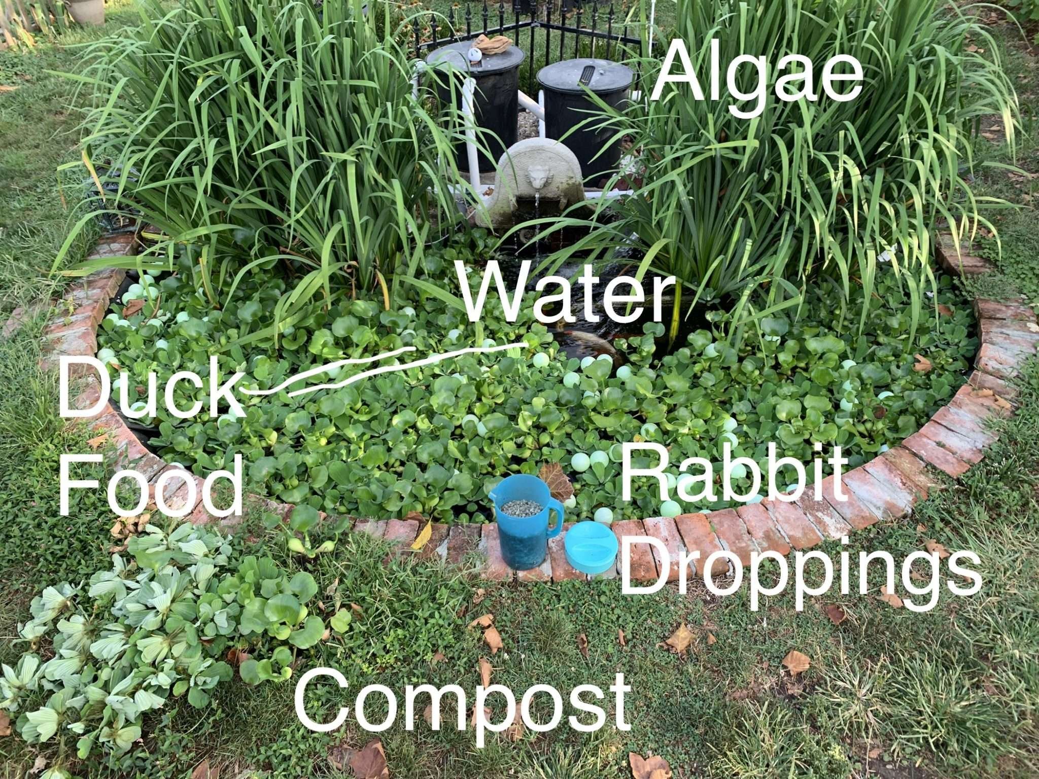 Elements of an Ecosystem