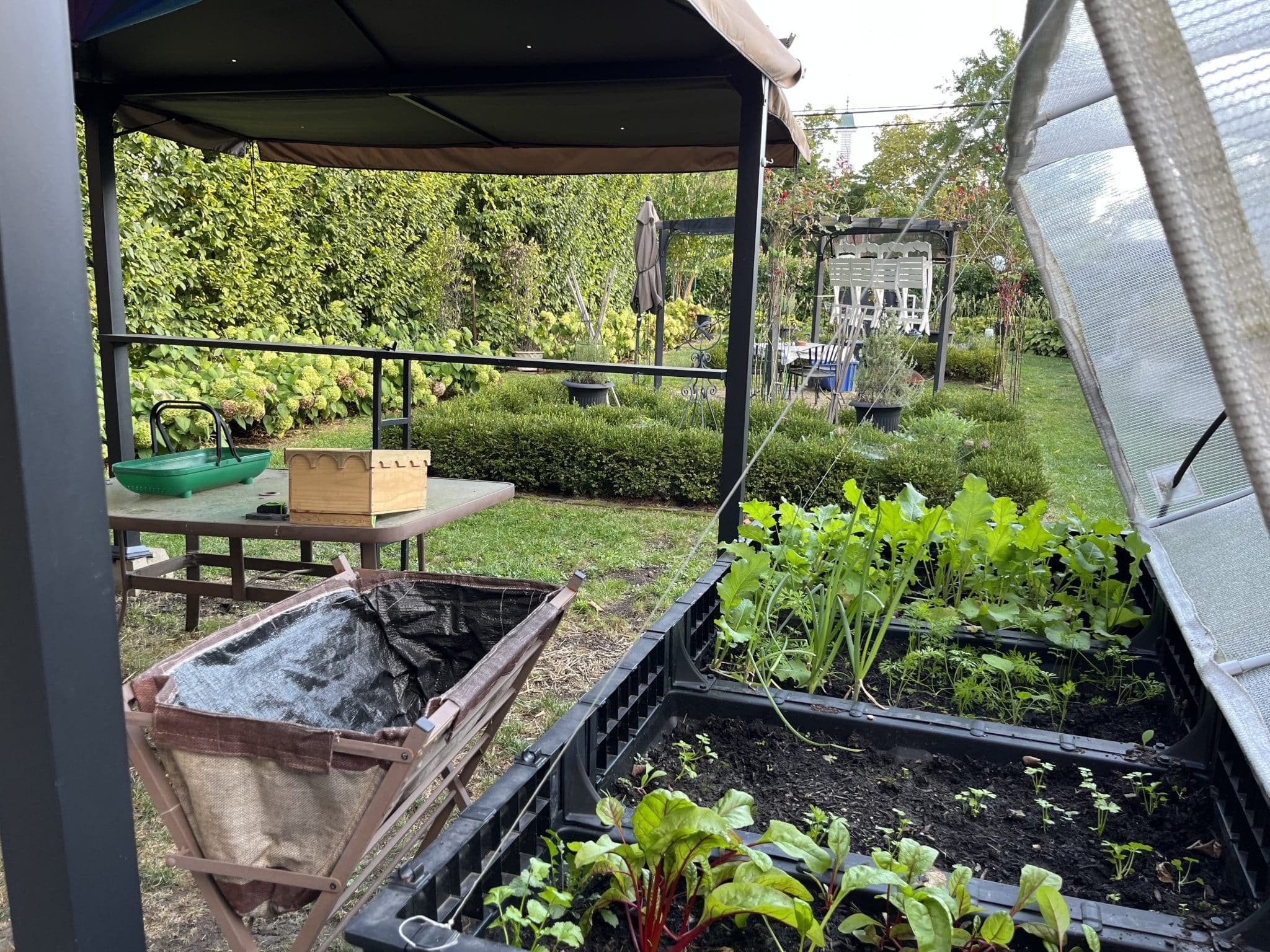 Fall Harvest Update 2022