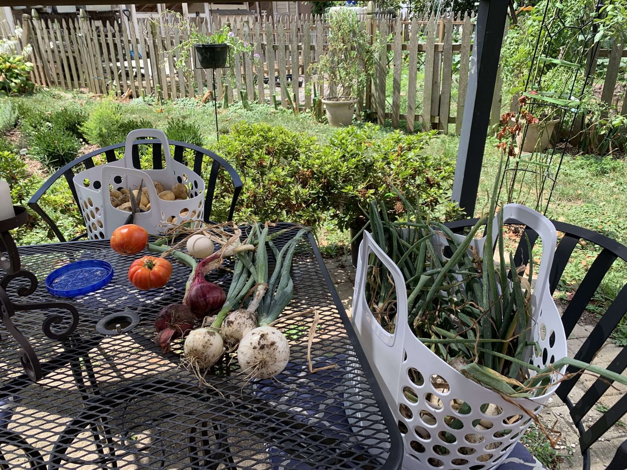 Harvest, Hunger, and the Art of Preservation