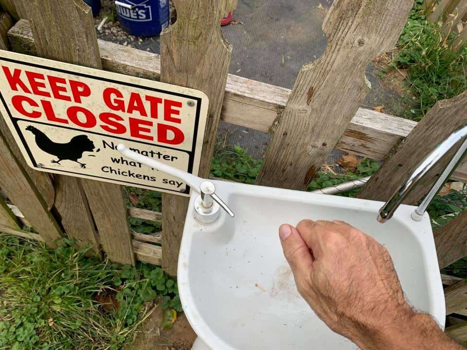Lesson: Basic Sanitation 101