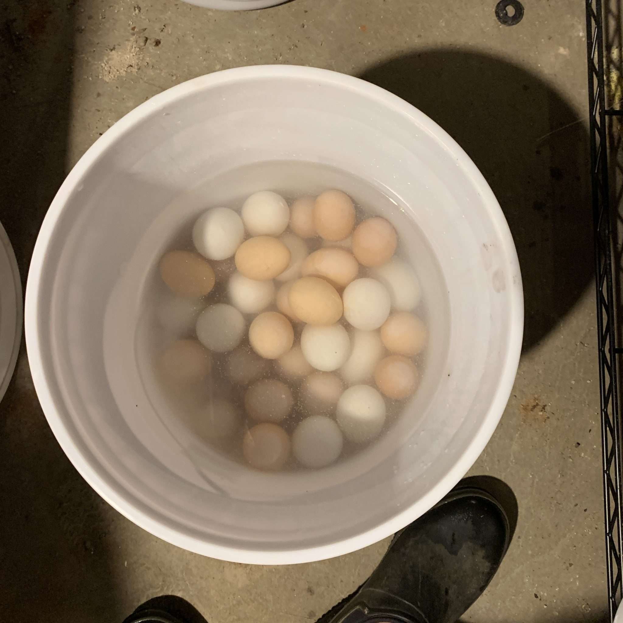 Preserving Eggs: A Six-Month Update