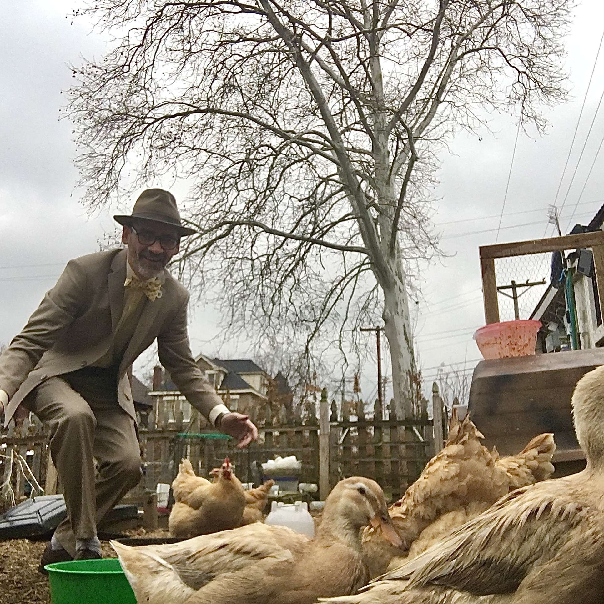 Robots, Chickens, and Ducks
