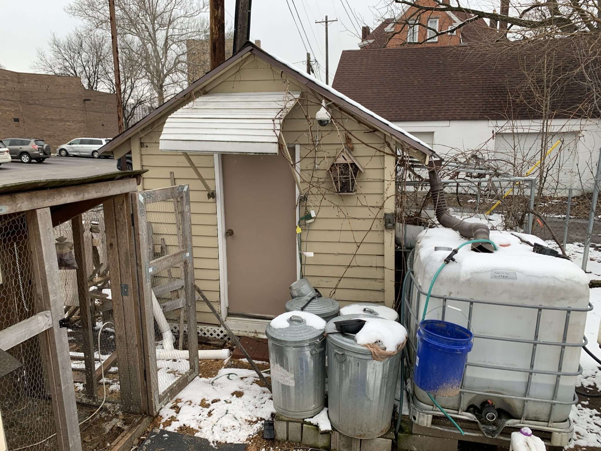 Sheds, Groundhogs, and the Opioid Epidemic