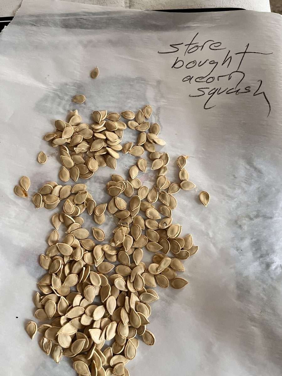 Store Bought Food and Seeds