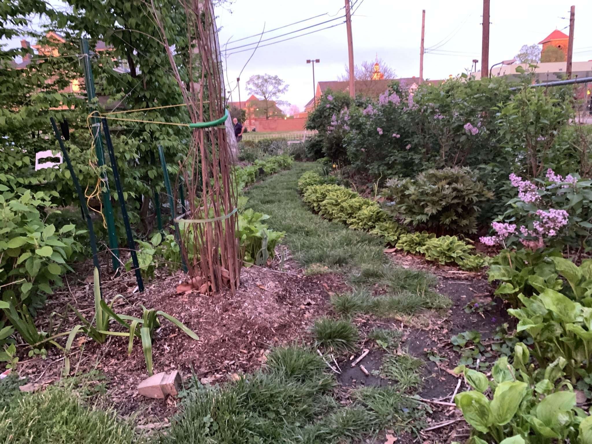 The Pollinator Landing Strip
