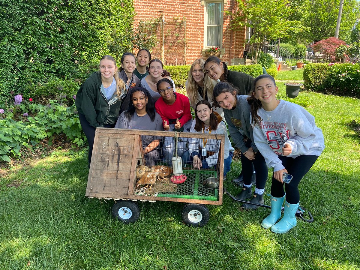Mezzacello-CSG-Service-Hours-smiles-and-chicks.jpg