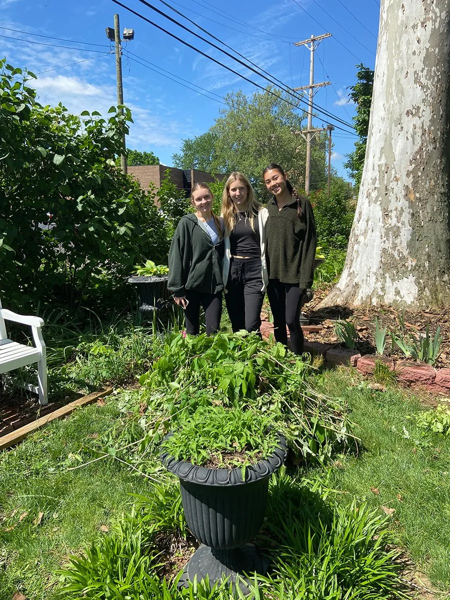 Mezzacello-CSG-Service-Hours-Pollinator-Cleanup.jpg