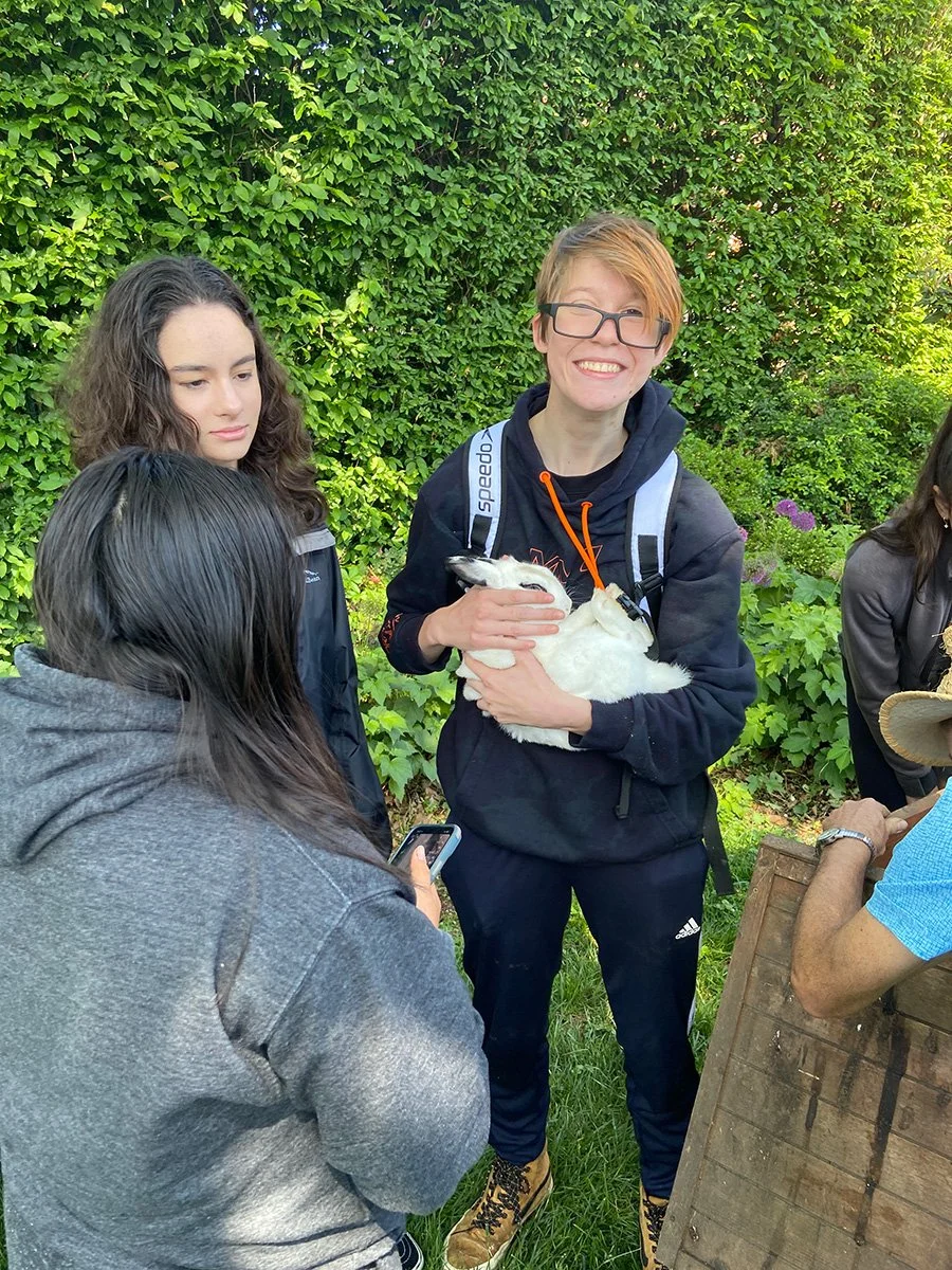Mezzacello-CSG-Service-Hours-Happy-Rabbit.jpg