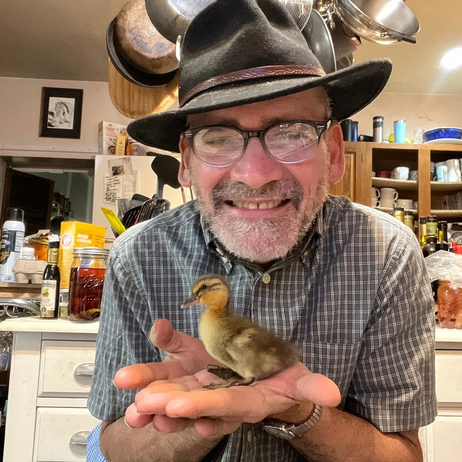 A baby duckling!