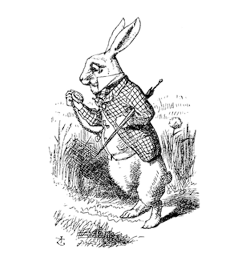 white-rabbit-square.png