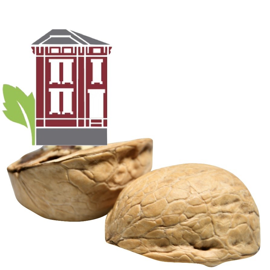 Mezzacello Urban Farm In a Nutshell