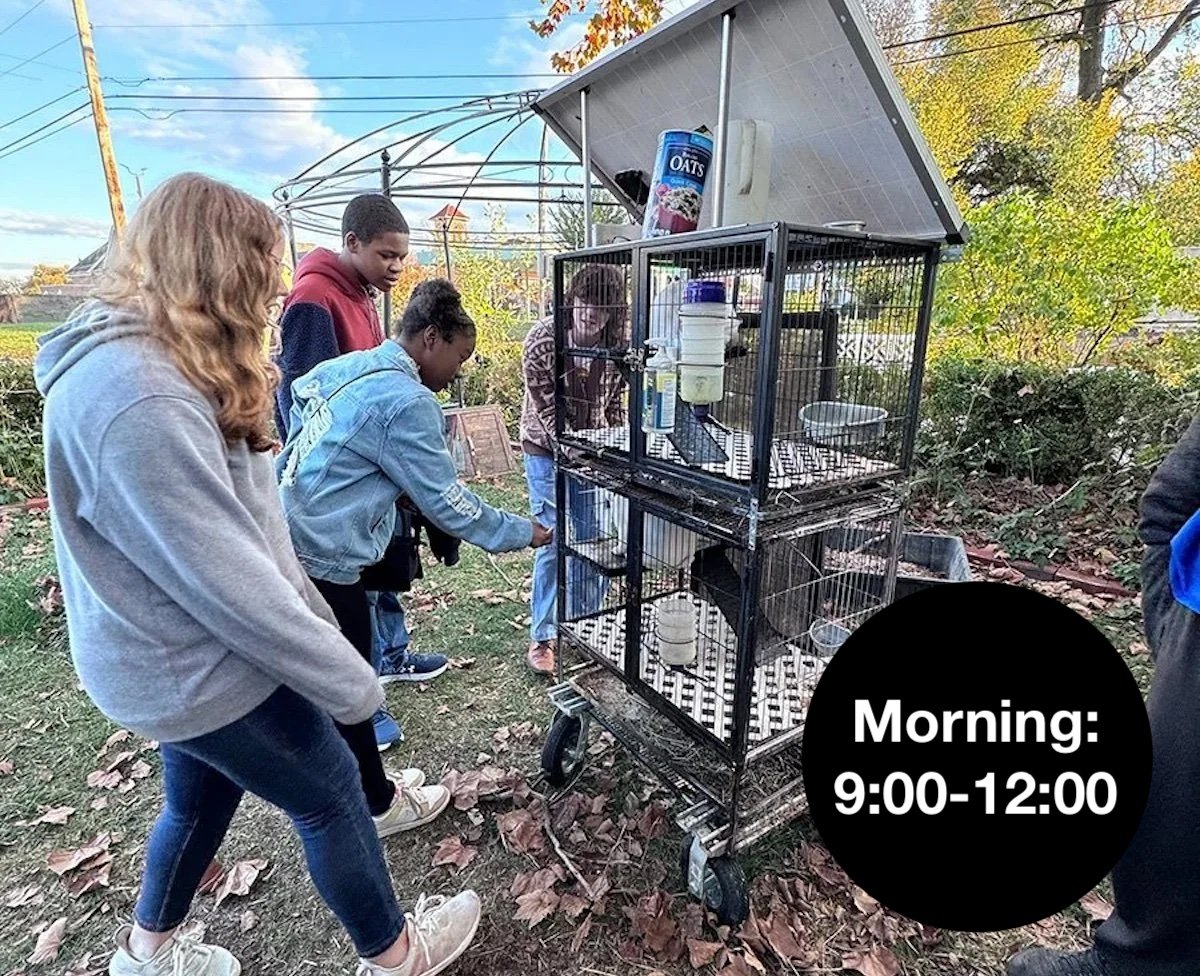 Build IT Workshop | Morning
