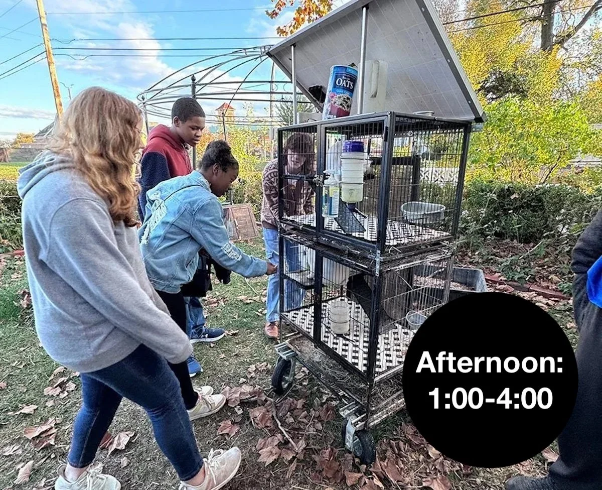 Build IT Workshop | Afternoon