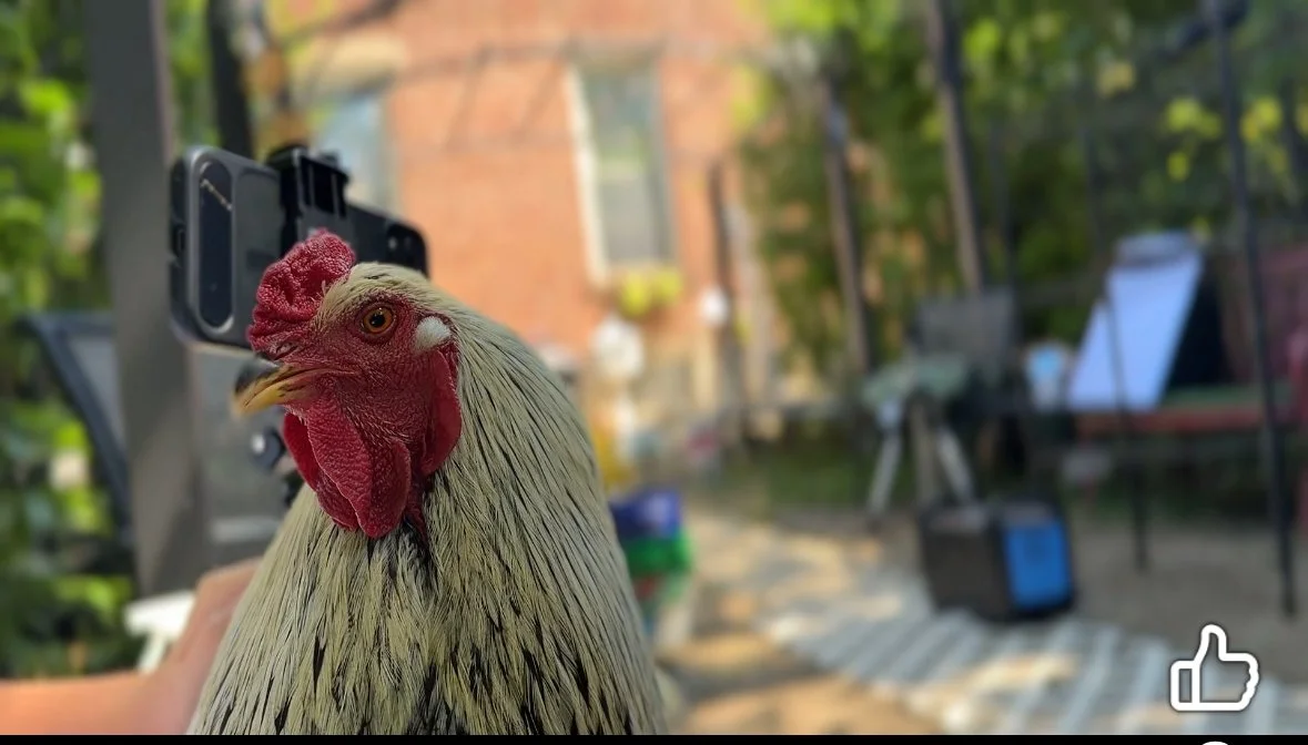 STEM Magic on an Urban Farm