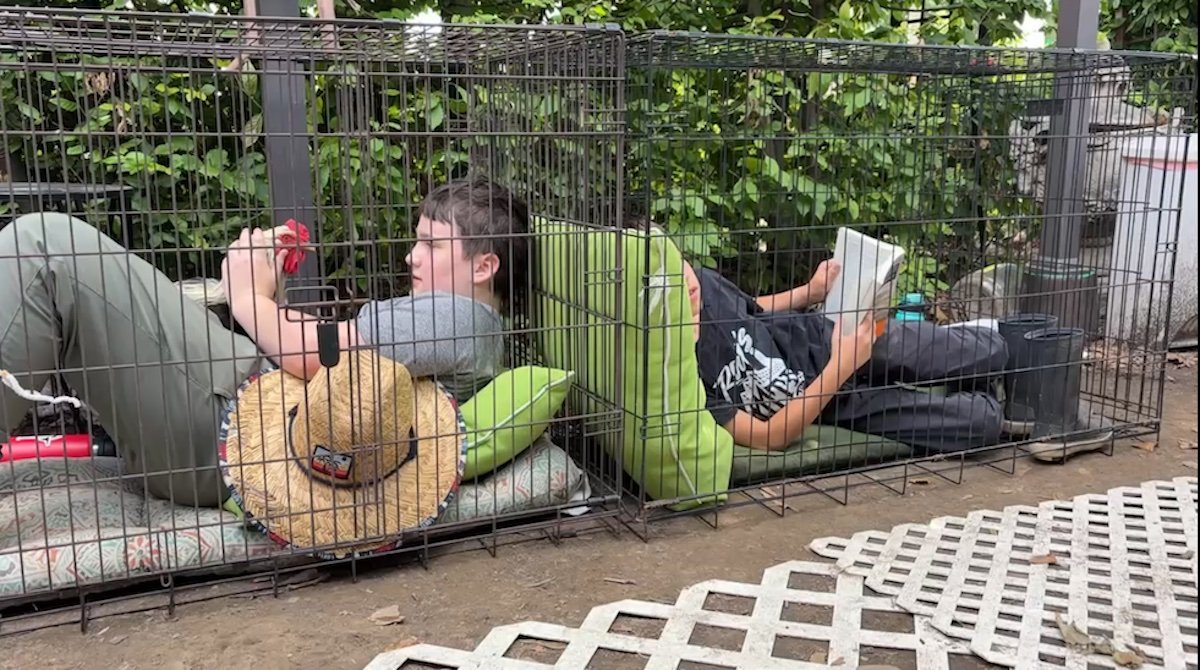 Two boys in cages