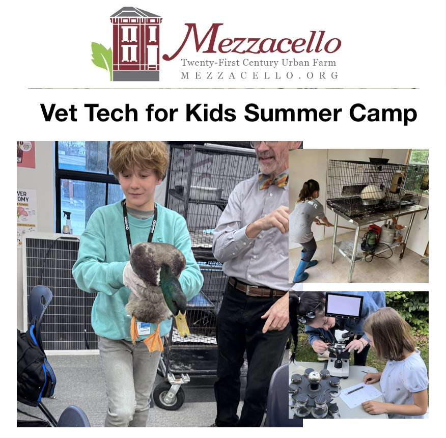 vet-tech-for-kids-camp-image.png