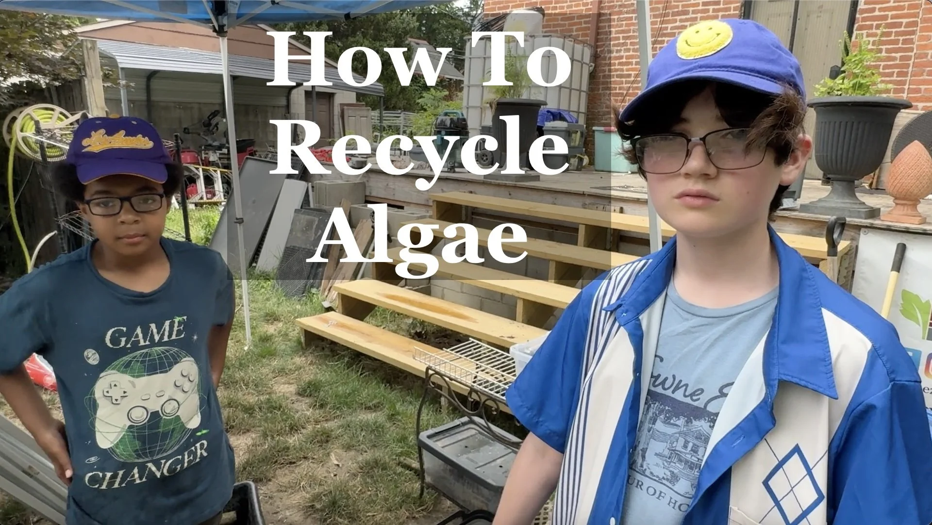How-to-recycle-algae-cover.jpg