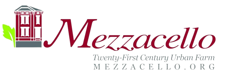 Mezzacello-Logo-2023-Update-1024x338__1_-removebg-preview.png