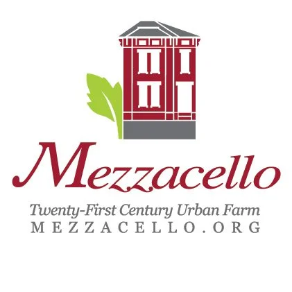Mezzacello-Logo-Instagram.jpg