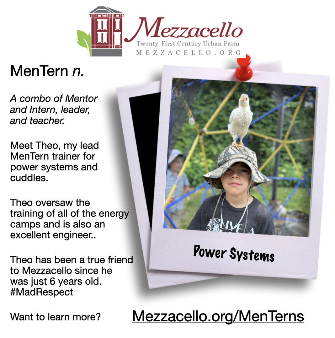 Theo Mentern card