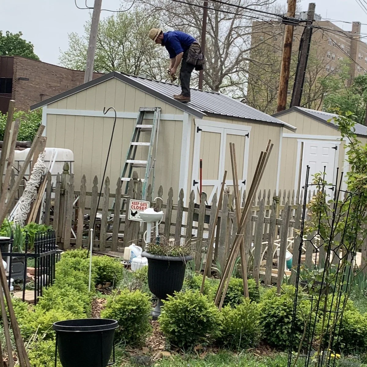 The Amish father and son that built Mezzacello's sheds