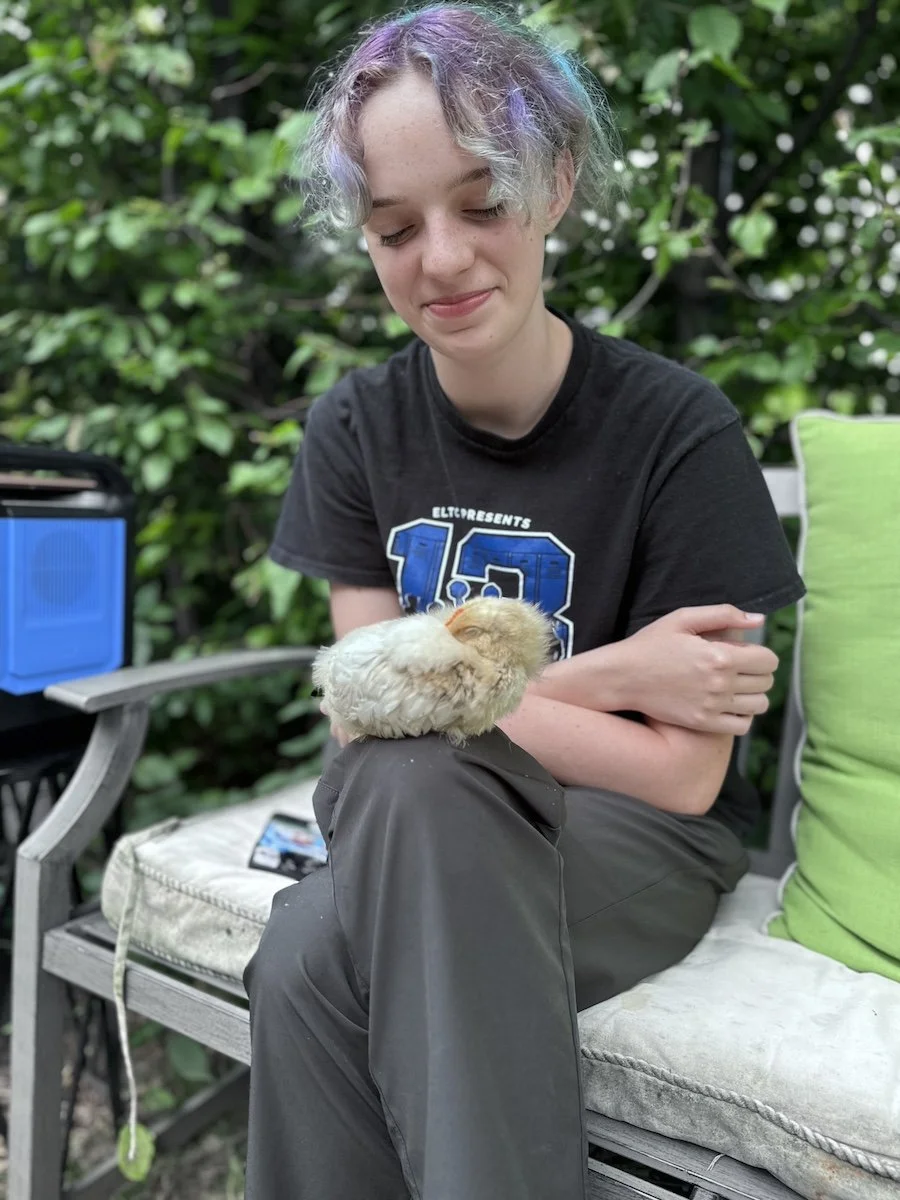 Mezzacello-Life-Under-Pressure-Elaina-sleeping-Chick.jpg