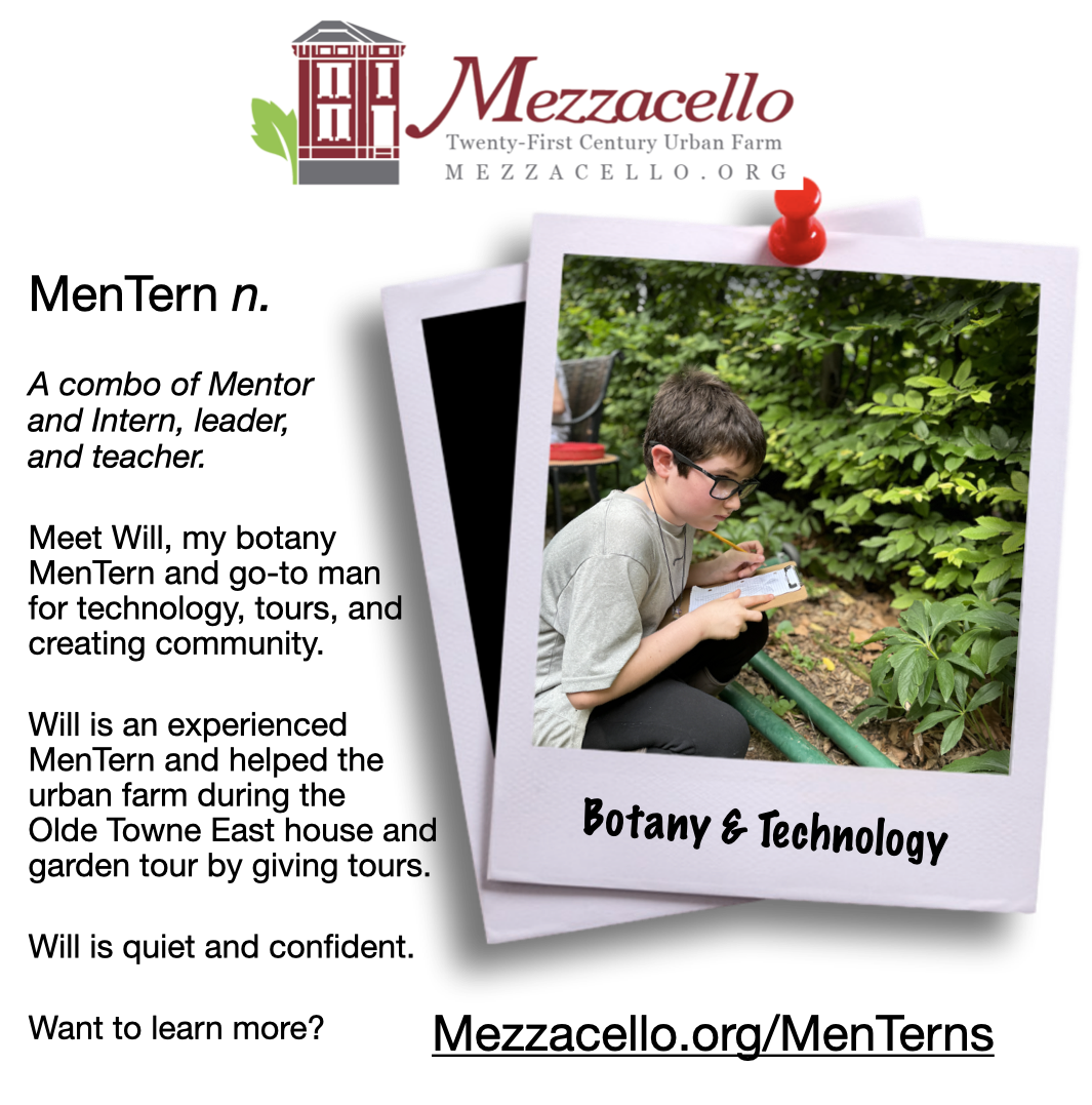 Will The tree whisperer