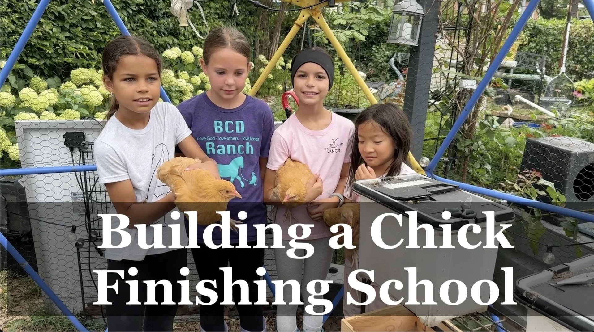 chick-finishing-school-cover.jpg
