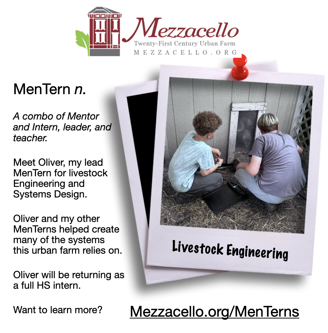 Oliver The Automator