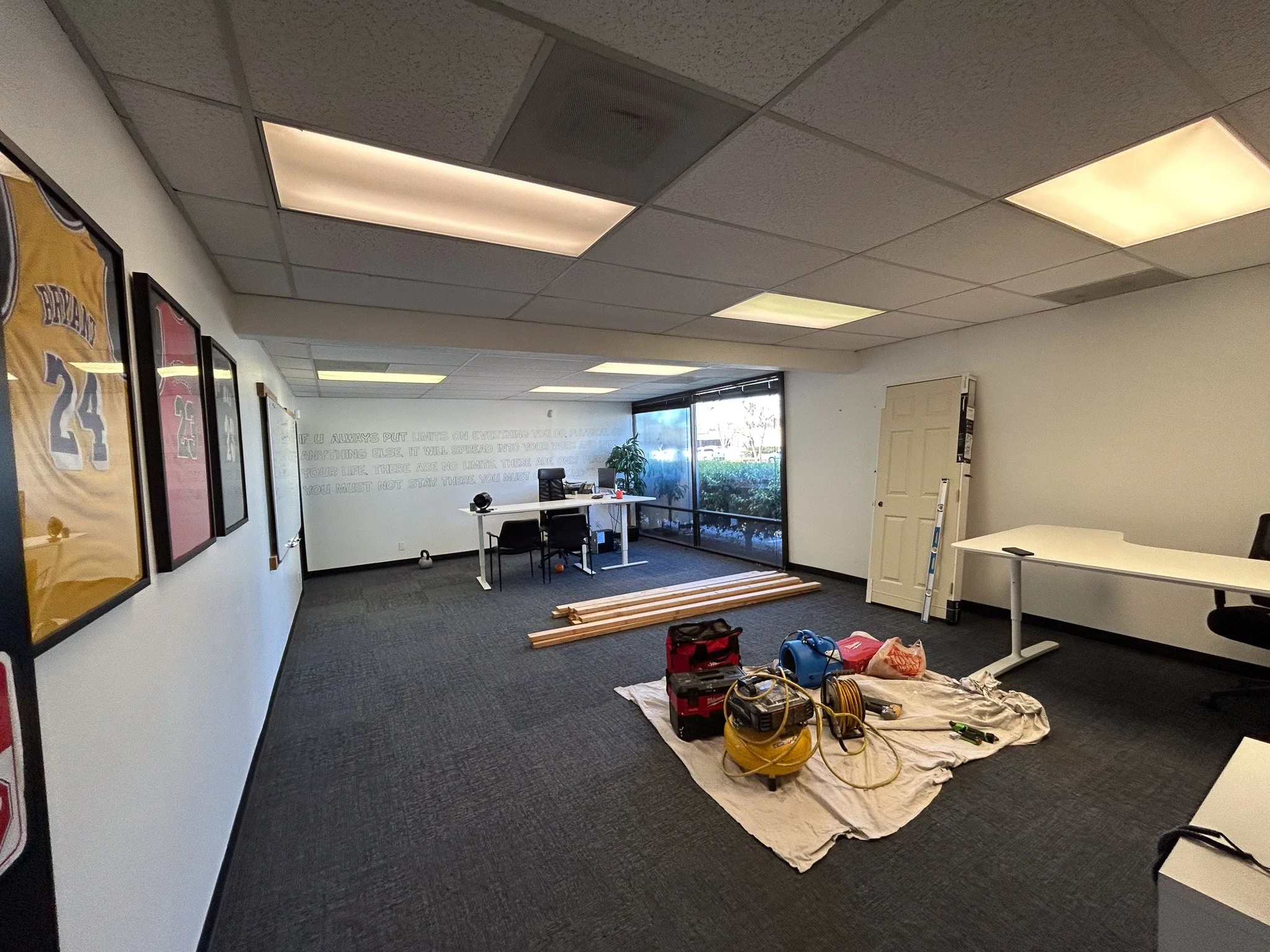 Big office room that needs a little extra privacy 