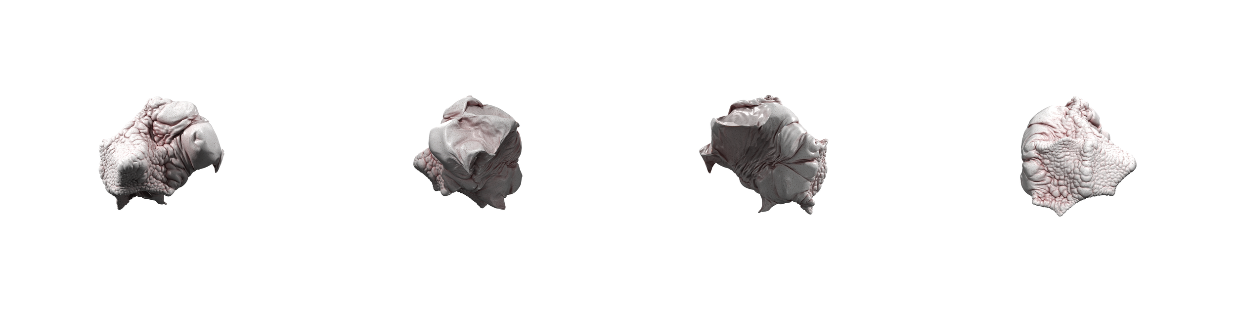 What animal do you see? I spy with my little eye… a rhinoceros!” 🦏